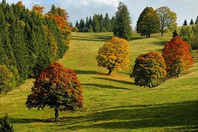 autumn-2800880_960_720.jpg