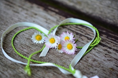 daisy-3392654_960_720.jpg