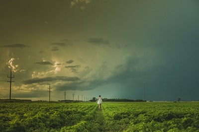 field-847647_960_720.jpg